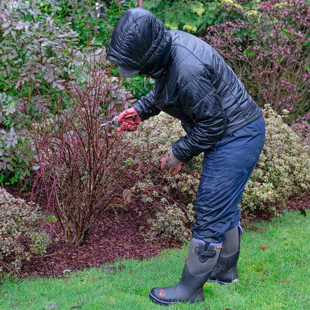 Reed Women's Lotus 14" Neoprene Boots - 3932 - Image 12